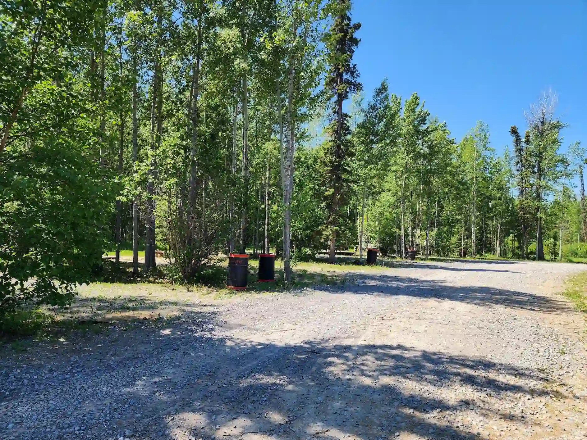 Louie Lake Site View