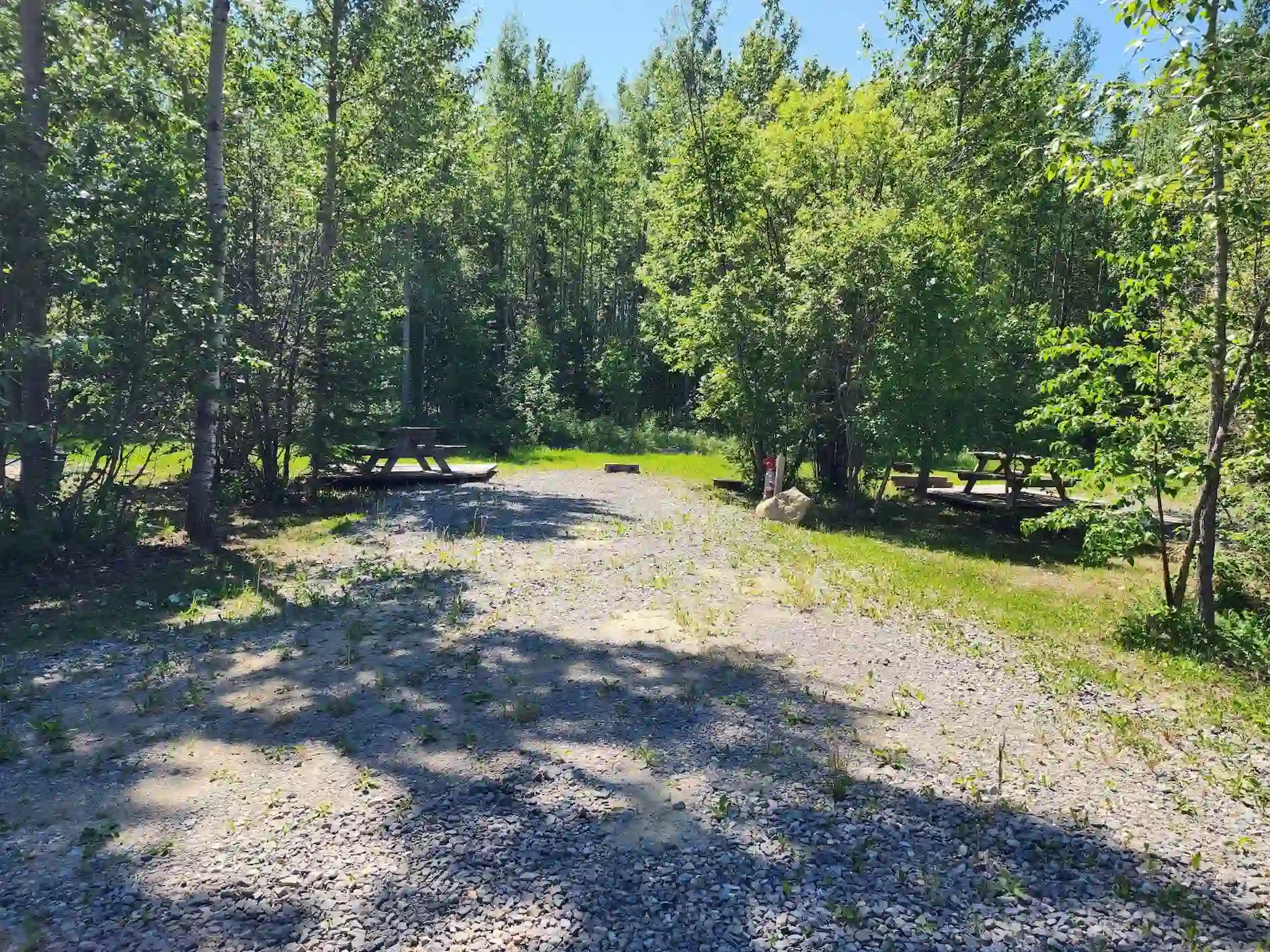 Louie Lake Site View